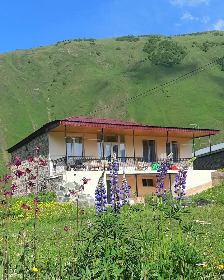 Cozy Hotel Kazbegi Exterior photo